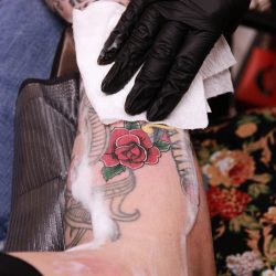 image00040 image00040